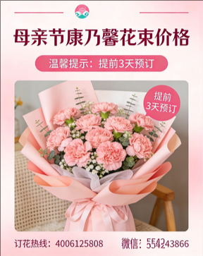 连云港连云区花店母亲节康乃馨花束
