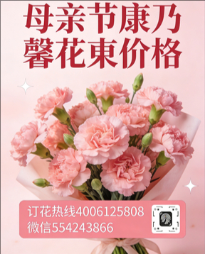 连云港连云区花店母亲节康乃馨花束